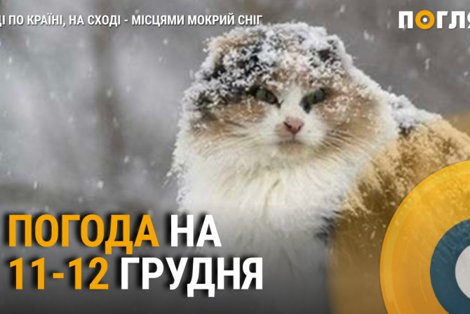 Головні новини - a090011e-0790-4e6a-93ee-652c469d521f - зображення